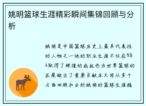 姚明篮球生涯精彩瞬间集锦回顾与分析