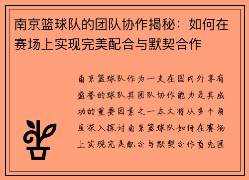 南京篮球队的团队协作揭秘：如何在赛场上实现完美配合与默契合作
