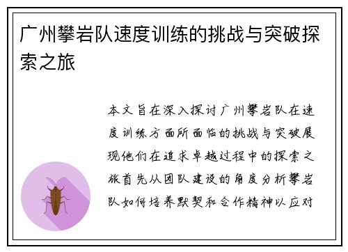 广州攀岩队速度训练的挑战与突破探索之旅